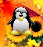 pic for Flower Tux